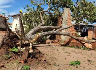 Após sete meses, prefeitura faz contrato emergencial sem licitação para recuperar casas atingidas por temporal em Palmas