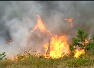 Tocantins suspende queimas controladas sob risco crítico de incêndios; veja o que muda
