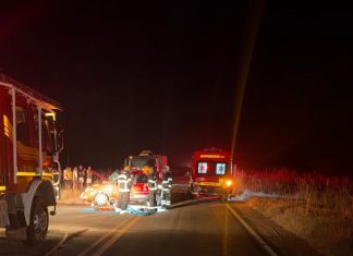 Homem morre após carro ser atingido por caminhão em trevo na TO-010