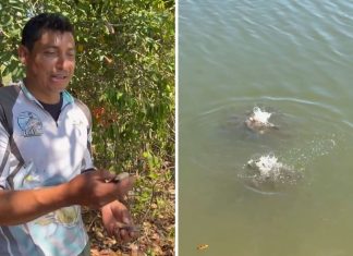 Pescador mostra lago repleto de piranhas no TO e brinca: ‘Não é bom banhar aqui’