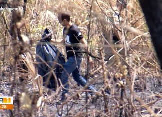 Ossada humana é encontrada após queimada em área verde de Palmas